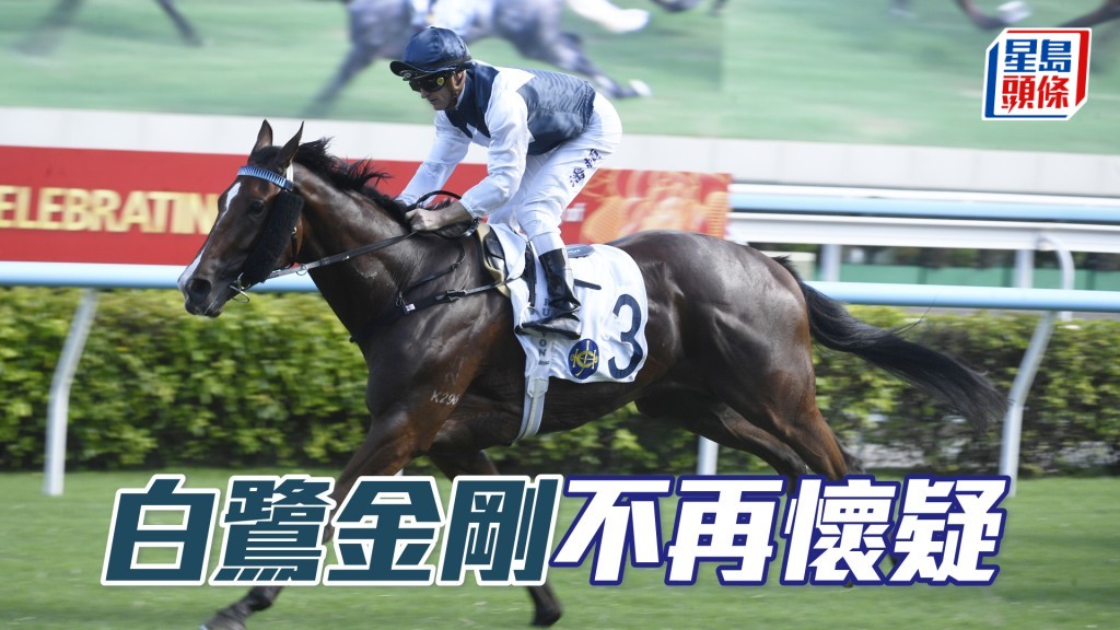「白鹭金刚」上仗赢马水准极高，今次赢面压一。