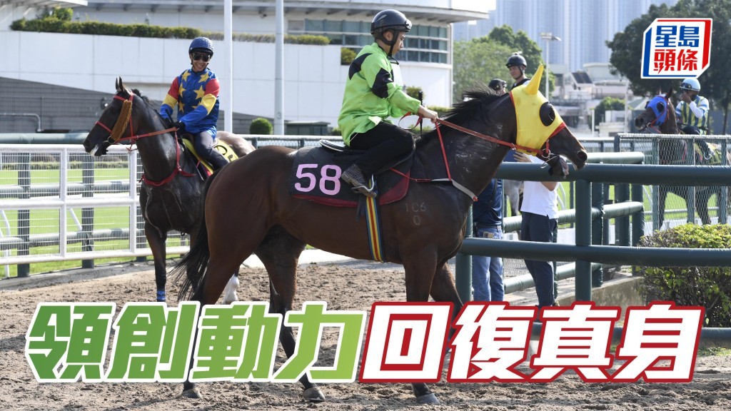 「領創動力」今次再回師此程強項，再配上黃智宏後，負磅已由630的135磅銳減至123磅。且看是否減夠分即回復真身。