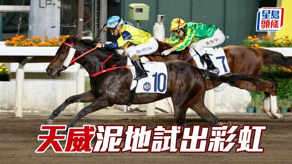 「天威」泥地試出彩虹。