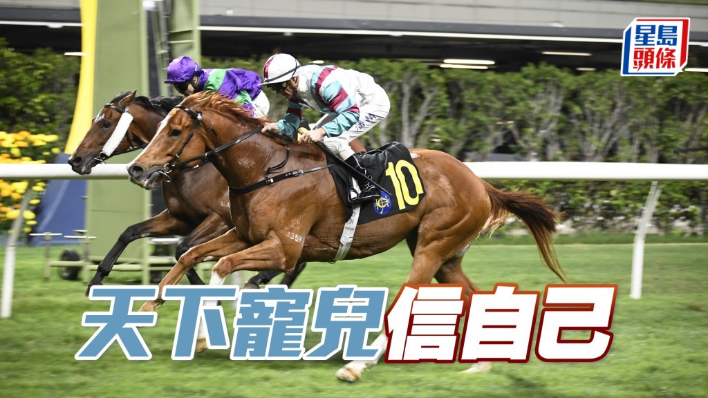 「天下寵兒」今場檔位內移，對手又換過一批，應可坐位望贏。