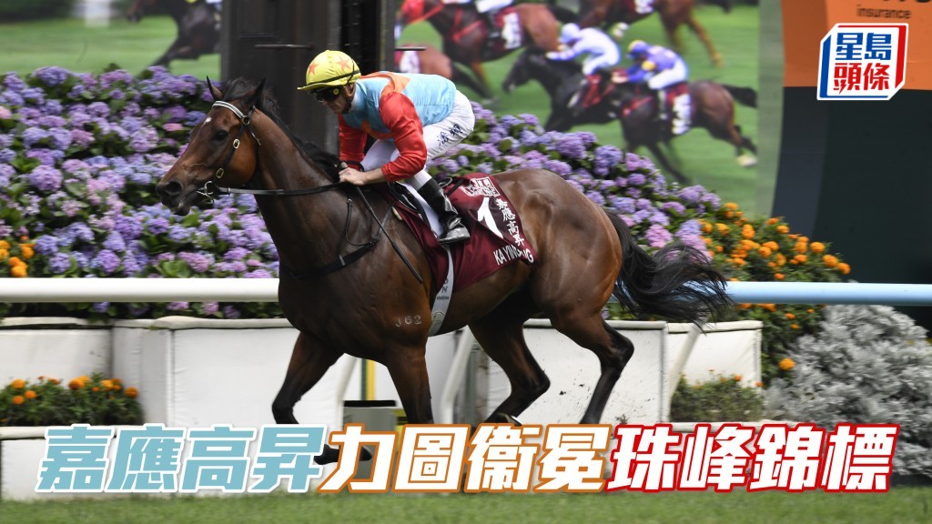 世界短途王者「嘉應高昇」歇暑休整 圖衛冕珠穆朗瑪峰錦標