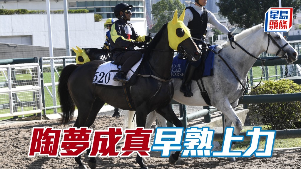 「陶夢成真」早熟上力