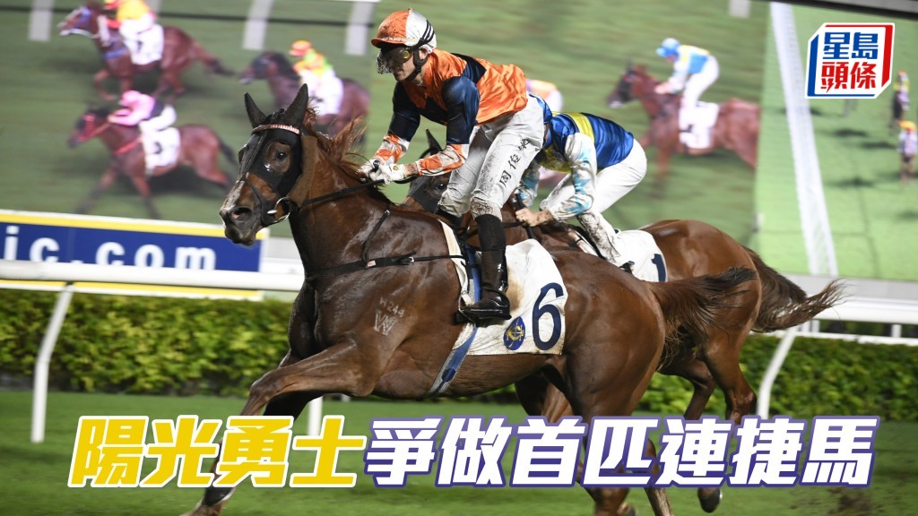 「陽光勇士」爭做首匹連捷馬