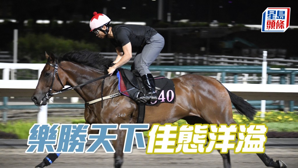 「樂勝天下」目光炯炯有神，跨步爽朗勁度夠。