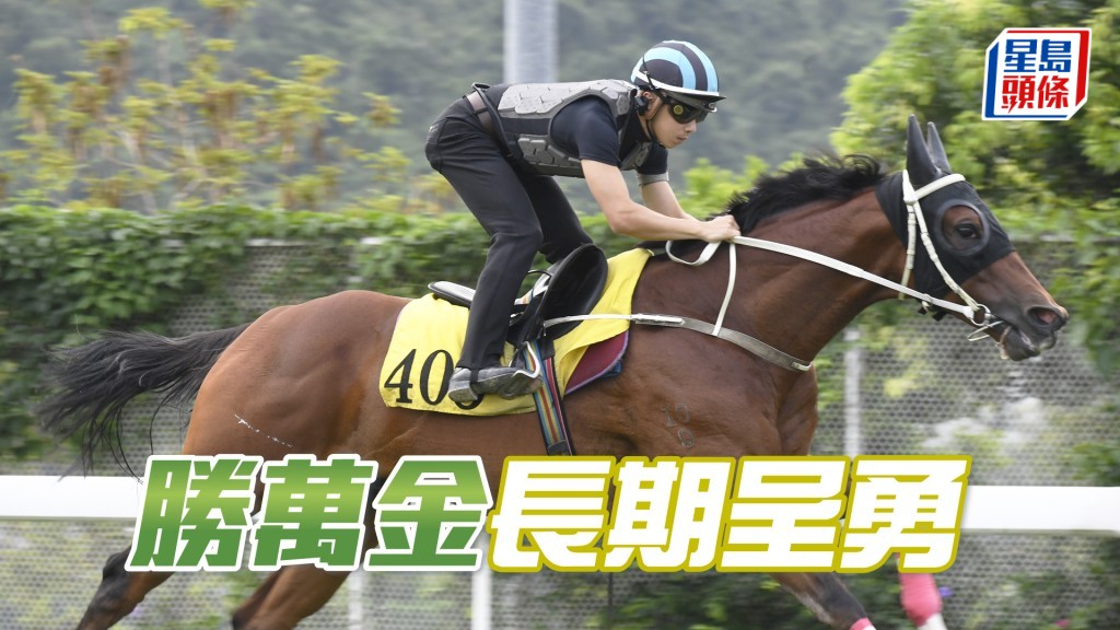 「勝萬金」馬身喼得壯冇瘦，毛色油潤展現光澤。