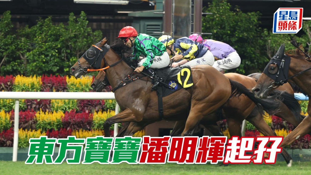 「東方寶寶」潘明輝起孖