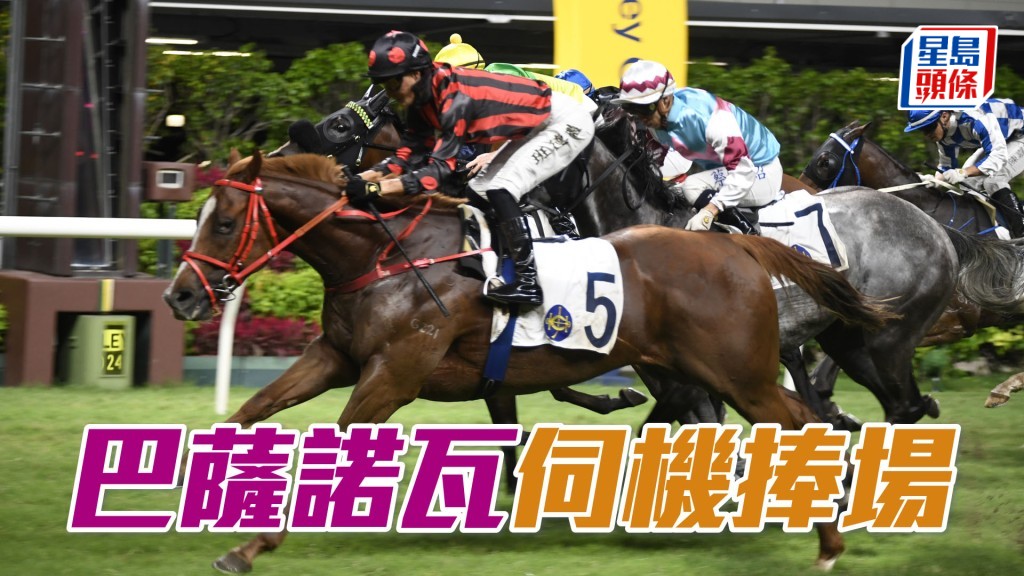 「巴薩諾瓦」現時仍屬壯年，隨時還有上升空間，凡見同場有快馬列陣，就是捧場時候。