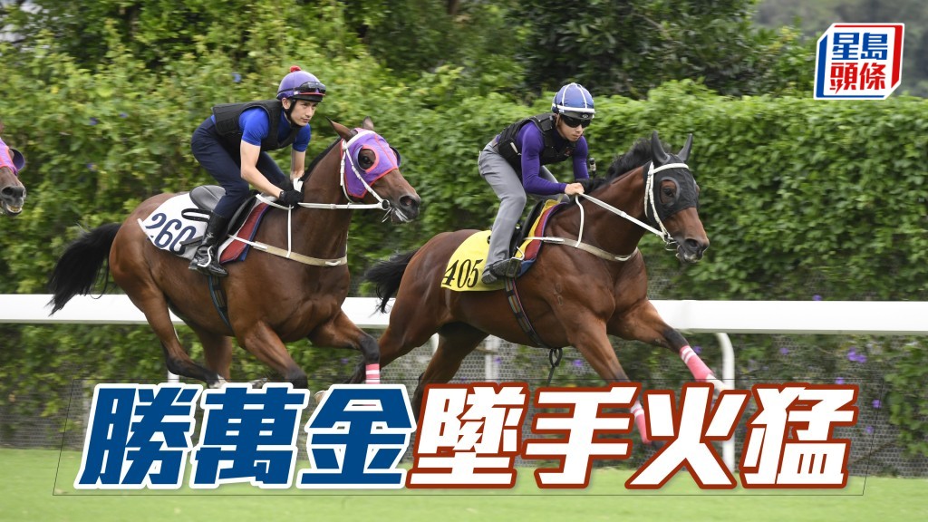 「勝萬金」（前）近來晨課精神爽利，墜手有火勇況依然。