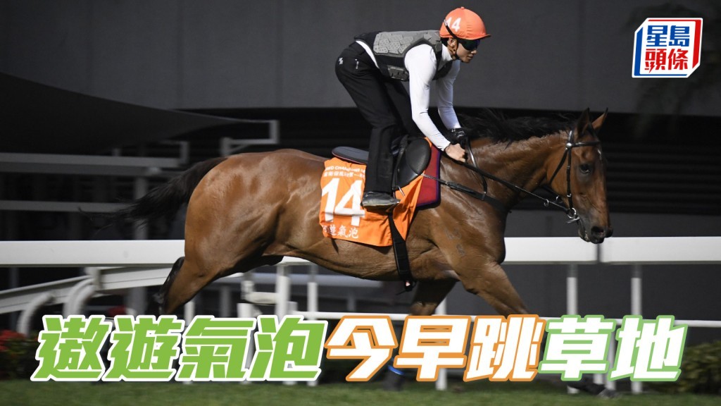 「遨遊氣泡」(圖) 今早跳草地證健康回穩，周日或可如期出賽爭取好成績。
