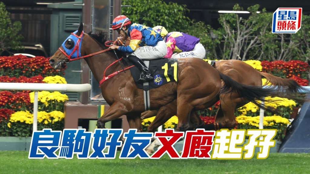 「良駒好友」文廄起孖
