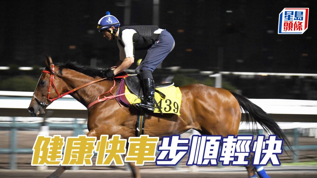 「健康快車」試來精神爽利，朝氣旺盛上佳水準。