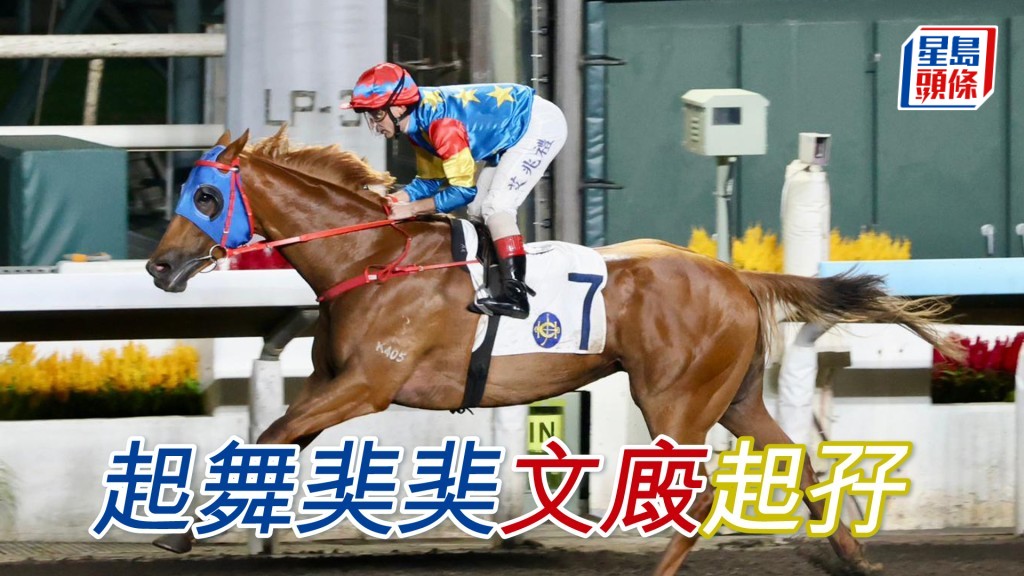 「起舞奜奜」文廄起孖
