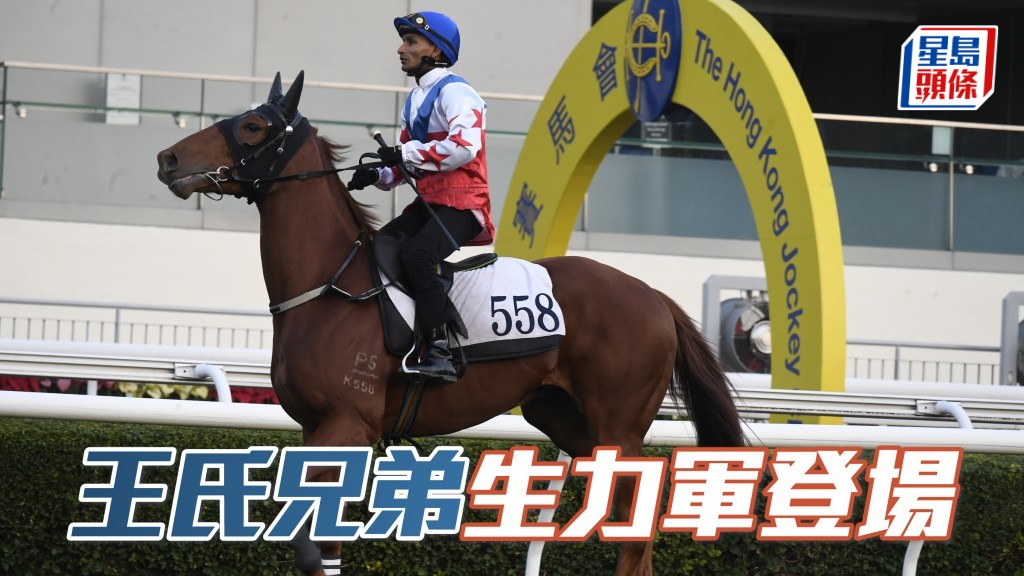 王文揚和弟弟王家揚周日將有新馬初次登場，他們合夥的希廄「帶贏來」(圖)，本周日將出戰第三場四班千二米泥地。