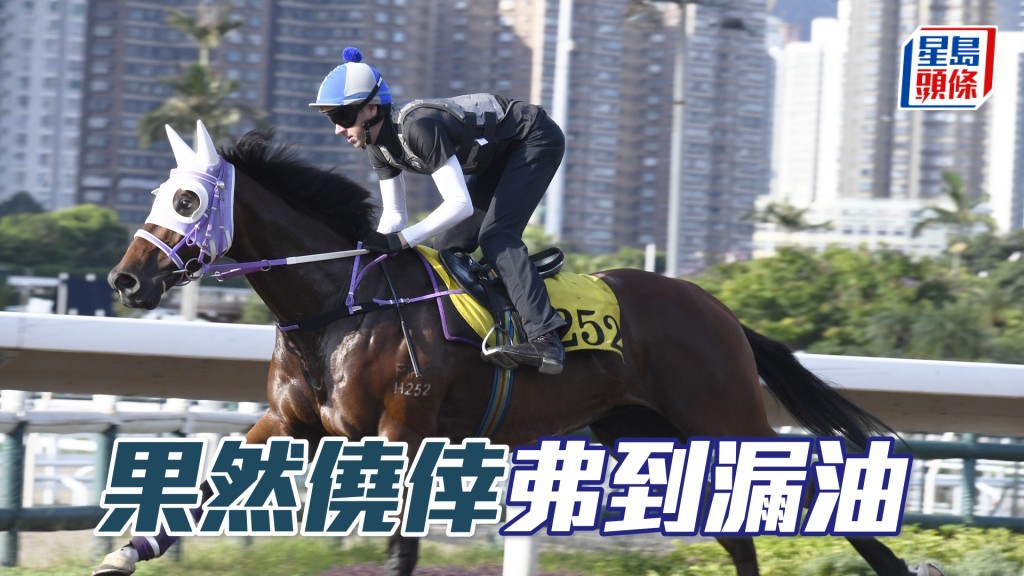  「果然侥幸」马身壮全身肌肉，步挺顺畅力度充沛。