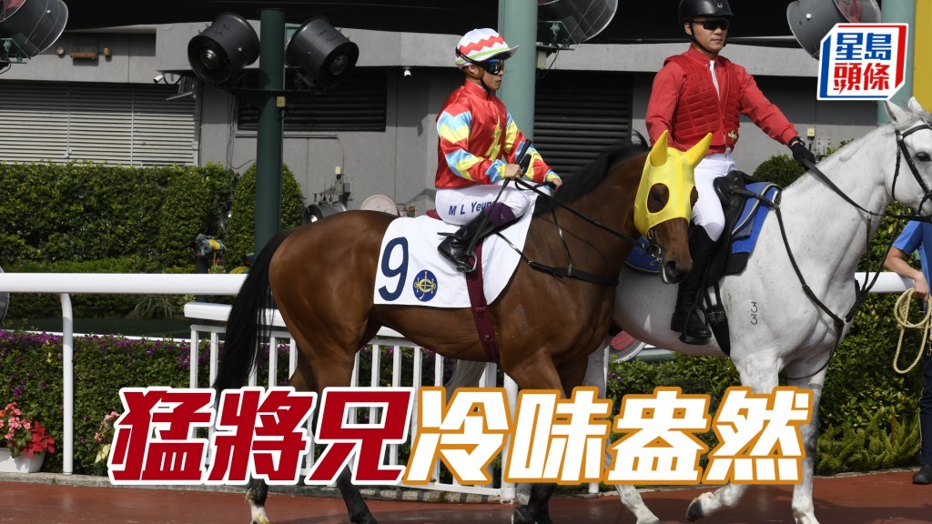 「猛将兄」今仗对手实力一般，加上排内档，并由冷杀手杨明纶策骑，冷味盎然。