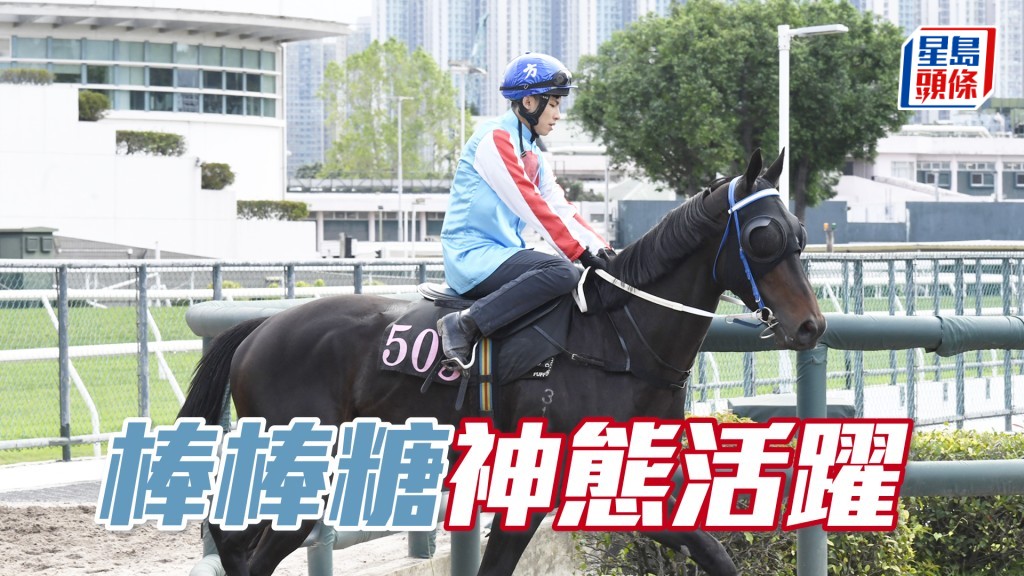  「棒棒糖」步伐穩健力度充沛，依然銳利好體力。