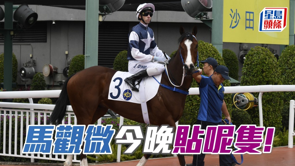 「星運少爵」為民請命