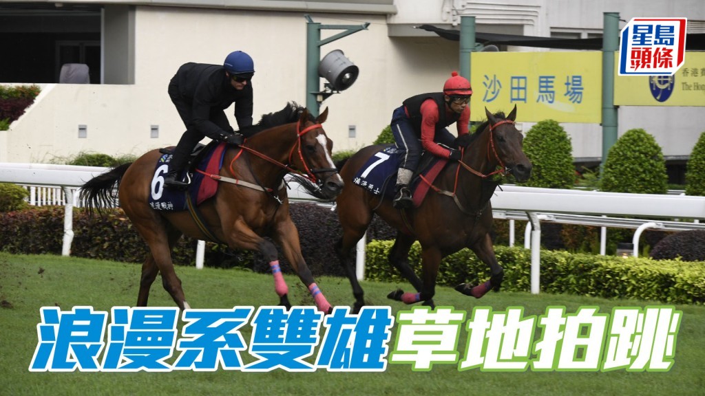 遮打盃焦點所在 「浪漫」系雙雄草地拍跳