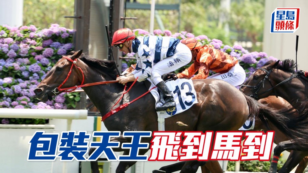 「包裝天王」飛到馬到