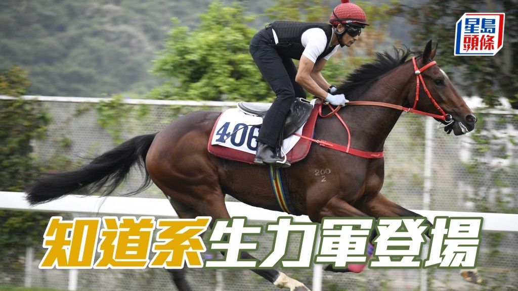 「知道」系生力軍「知道穩勝」(圖) ,周日在港初出跑第一場一千米新馬賽。