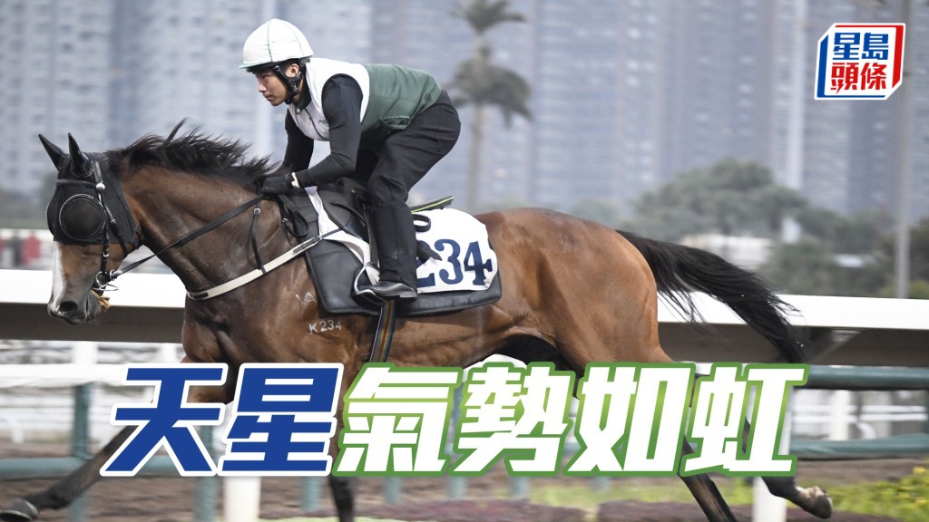 「天星」全程岳高頭走精神爽利，保持勇銳。