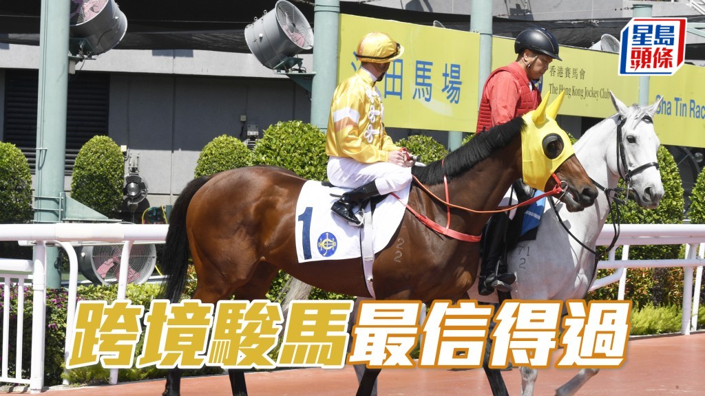 「跨境駿馬」連場走近，打皇牌報名必有所圖。