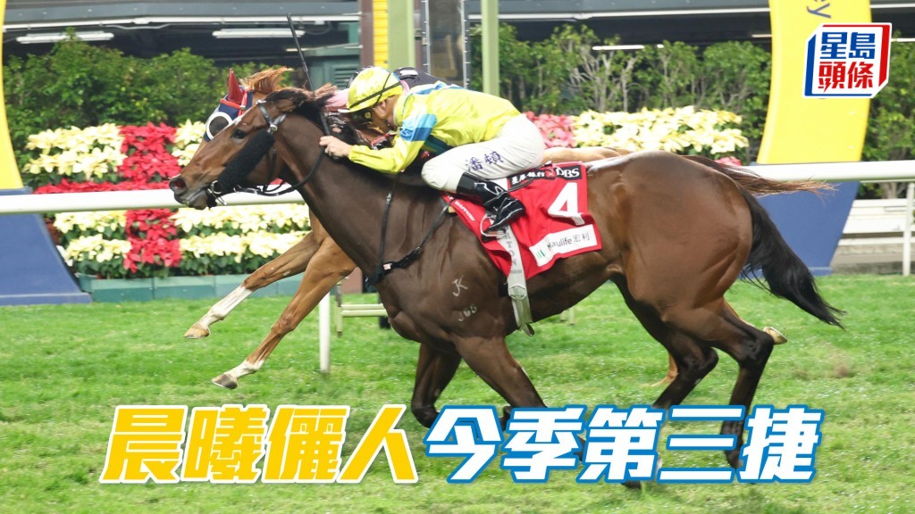 「晨曦儷人」今季第三捷