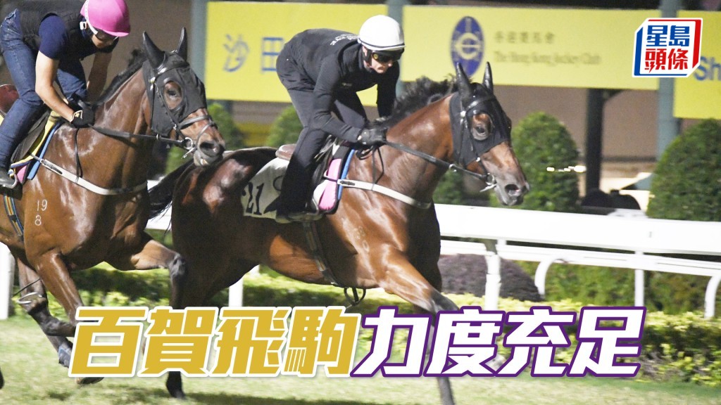 「百賀飛駒」火氣不俗狀態對辦。