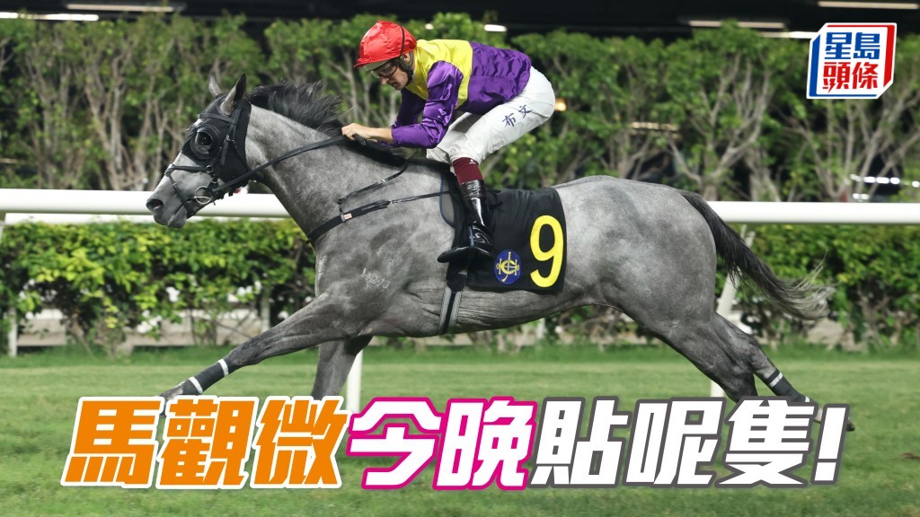 「至旺財」再添佳績
