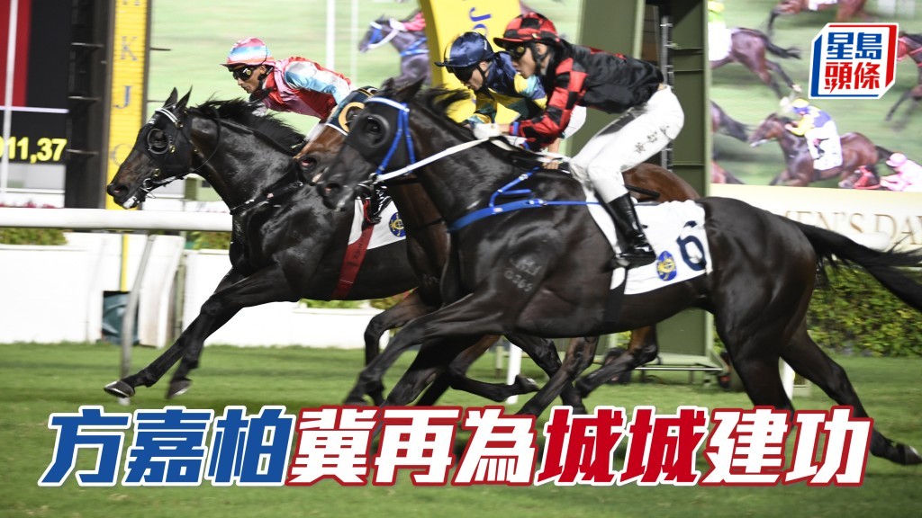 據知城城周日有機會入場，且看「舞林密碼」能否為他帶來拉頭馬機會。