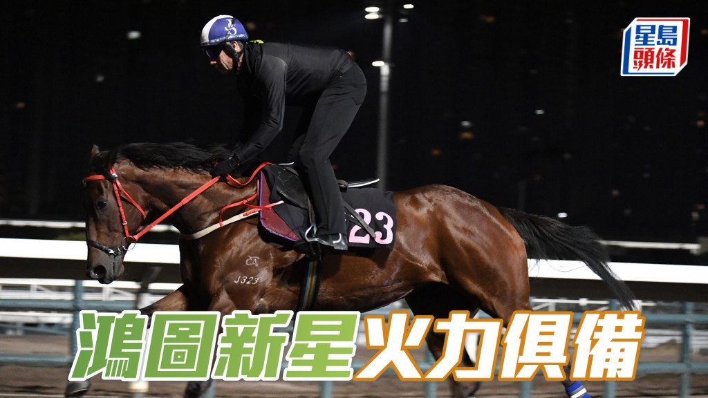 「鴻圖新星」近日出試時火力俱備，外觀好靚，新勝馬夠晒醒神。