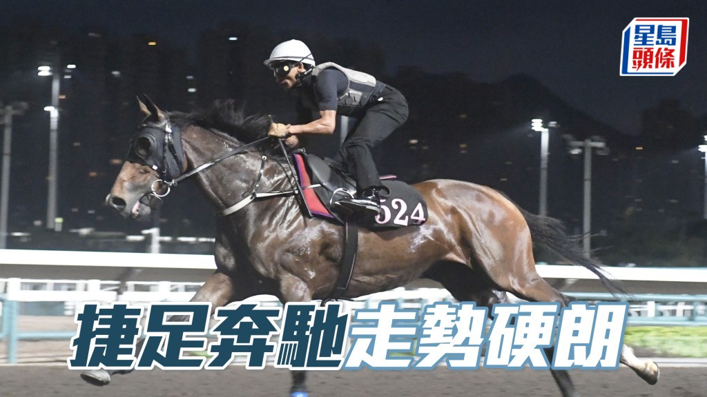 「捷足奔馳」急口主動搶走，身喼得壯精神飽滿。