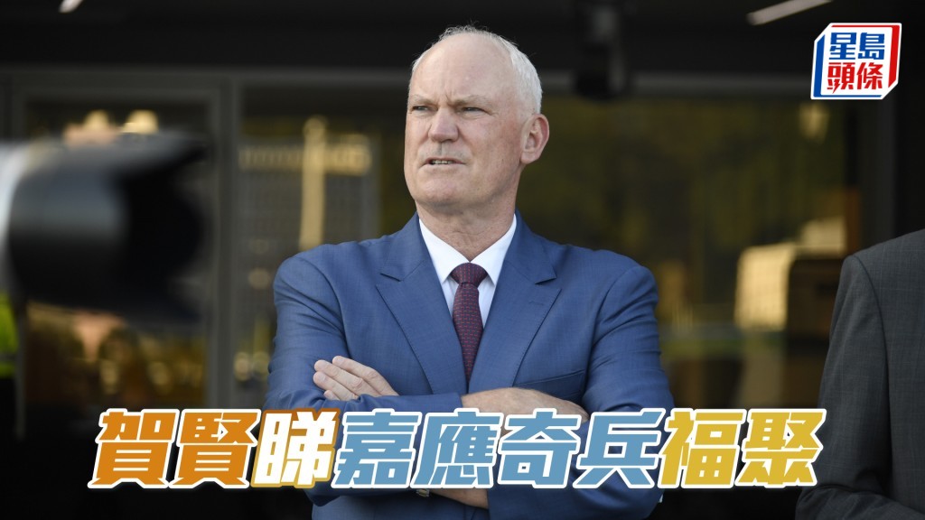 賀賢今朝全神貫注睇實「嘉應奇兵」及「福聚」出跳。