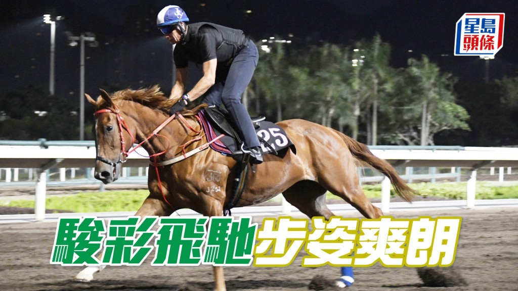 「駿彩飛馳」毛色油潤好悅目，具備爭勝水準。