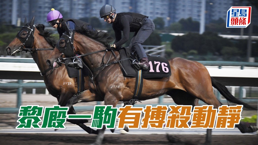 「怡昌奇兵」(外) 由艾兆禮親自測試，同時是他的首匹出試馬匹。