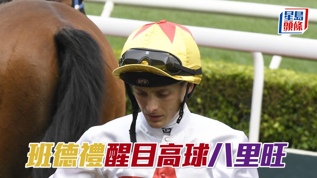 班德礼周日沙田日赛共有七匹坐骑。