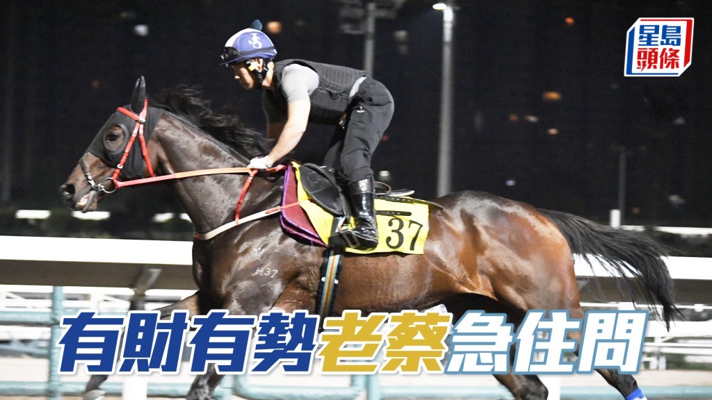 「有财有势」今季两次出争谷草一哩全数上名。