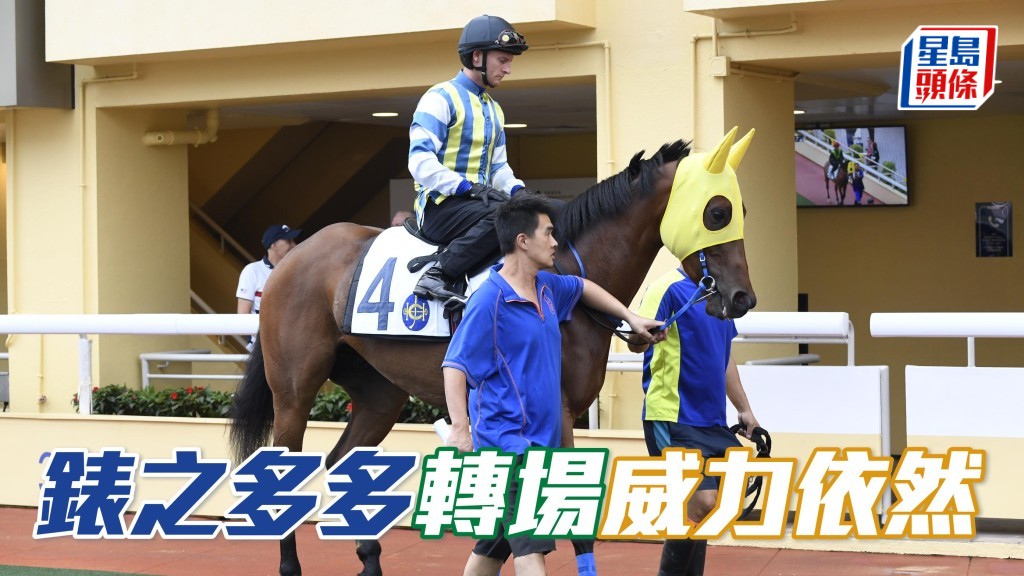 近期主攻泥地的「錶之多多」(圖) 今場轉爭谷草,應無損戰鬥力,有力繼續跑入前列。