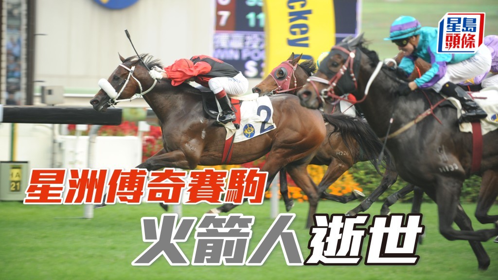 馬場浮世繪｜星洲傳奇賽駒「火箭人」(2號馬) 逝世