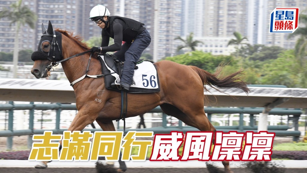 「志满同行」落脚既爽又轻，弗到不得了。