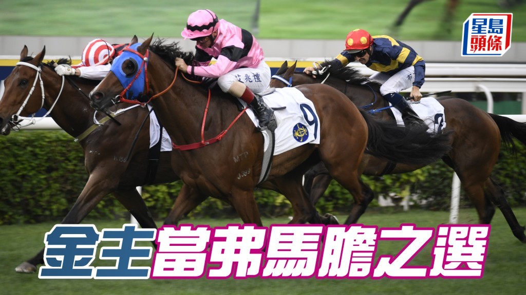 「金主」長途實力雄厚，再戰二千屬馬膽之選。