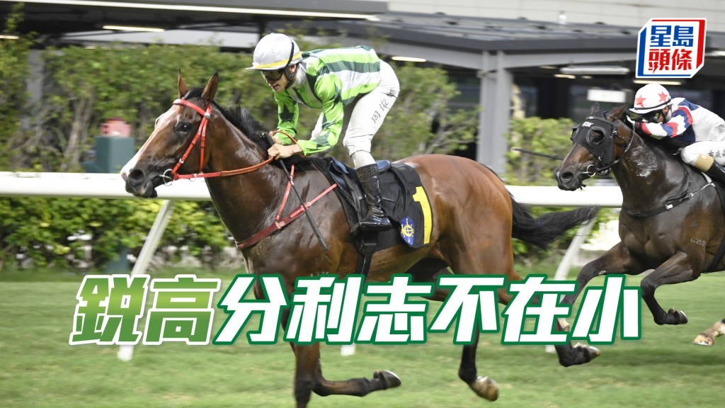 「銳高」評分有利，回師勝途有勝算。