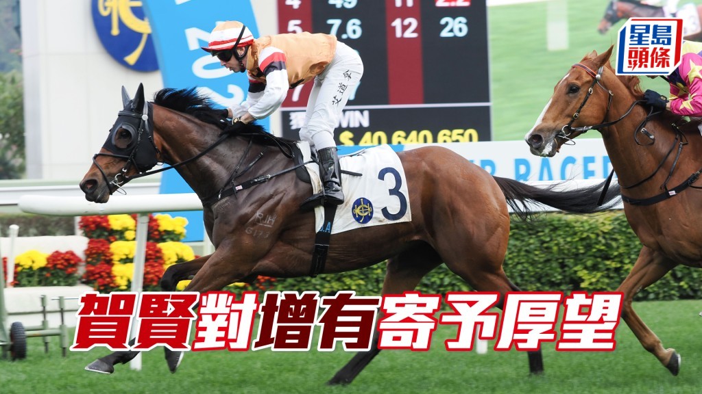 「增有」今季表現優異。