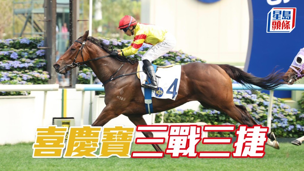 「喜庆宝」三战三捷