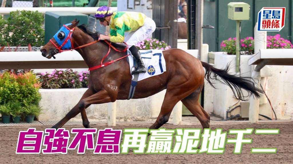 「自強不息」再贏泥地千二
