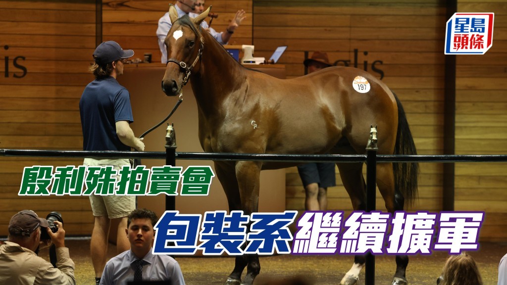 今日殷利殊2025精選周歲馬拍賣會，「包裝」系以一百萬澳元，購入一匹出自父系「豪華房車」的棗色幼馬，成為首天拍賣會兩匹最高價成交馬之一。