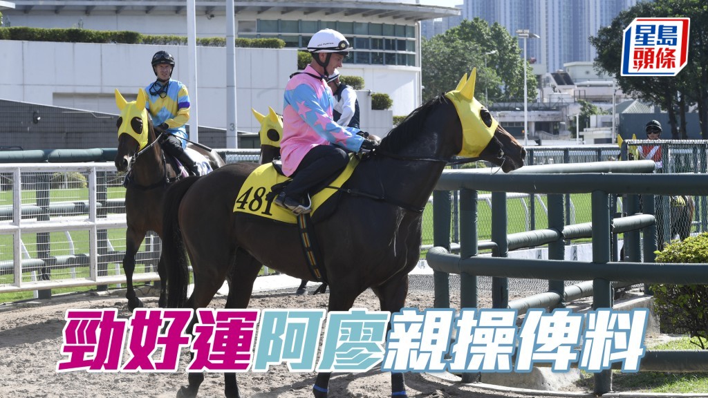 潘頓之前騎「勁好運」交出一冠一亞一季佳績人馬合拍。