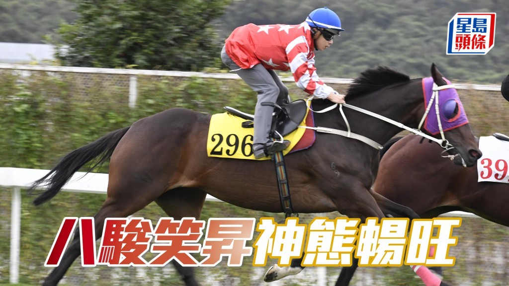 「八骏笑升」近来早课试来精神爽利，步顺轻巧神态畅旺，暗火展现马身又靓，神采奕奕一直见好。