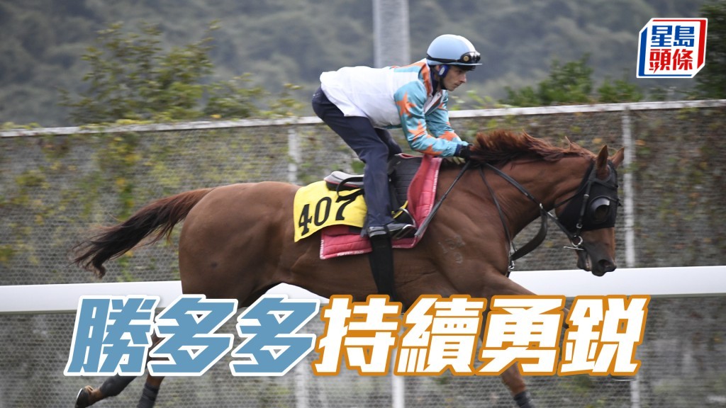 「勝多多」運步如輪神采奕奕，力度充足暗火湧現。