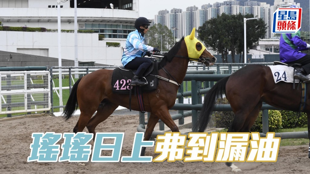 「瑤瑤日上」助手踱兩圈，馬身茁壯毛水潤澤，落腳穩勁力不俗，有進無退弗到漏油。